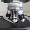 Muller binoculaer microscope.jpg 2