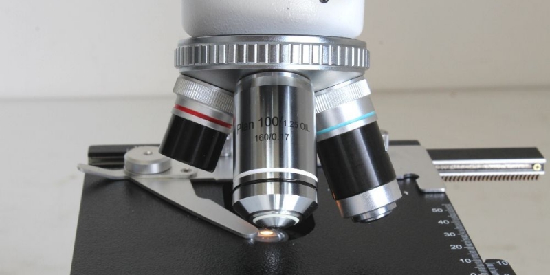 Muller binoculaer microscope.jpg 2