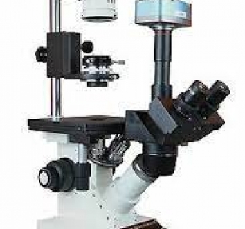 Inverted Microscope Fisher Scientific Model 11350119