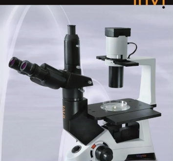 Magnus Inverted Trinocular Microscope